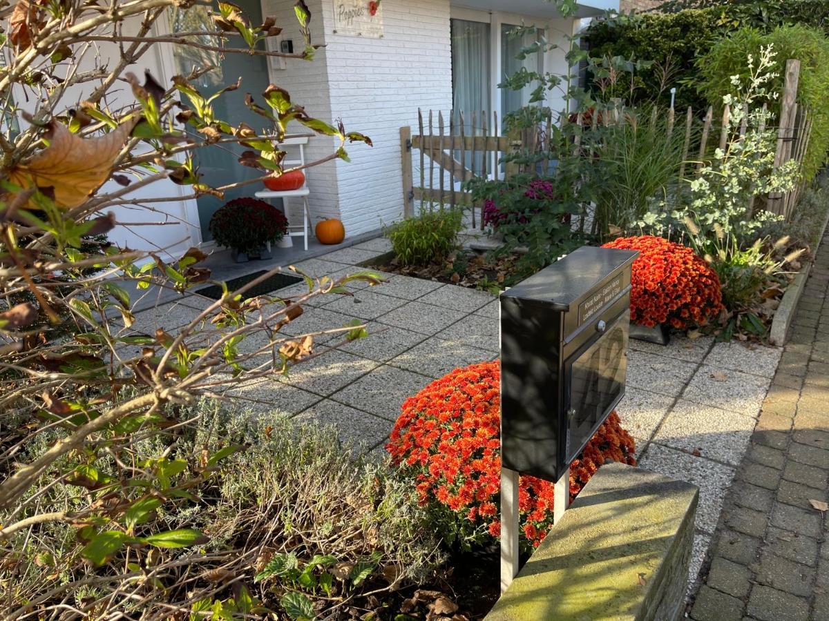 Guesthouse Poppies , Free Parking 奥斯滕德 外观 照片