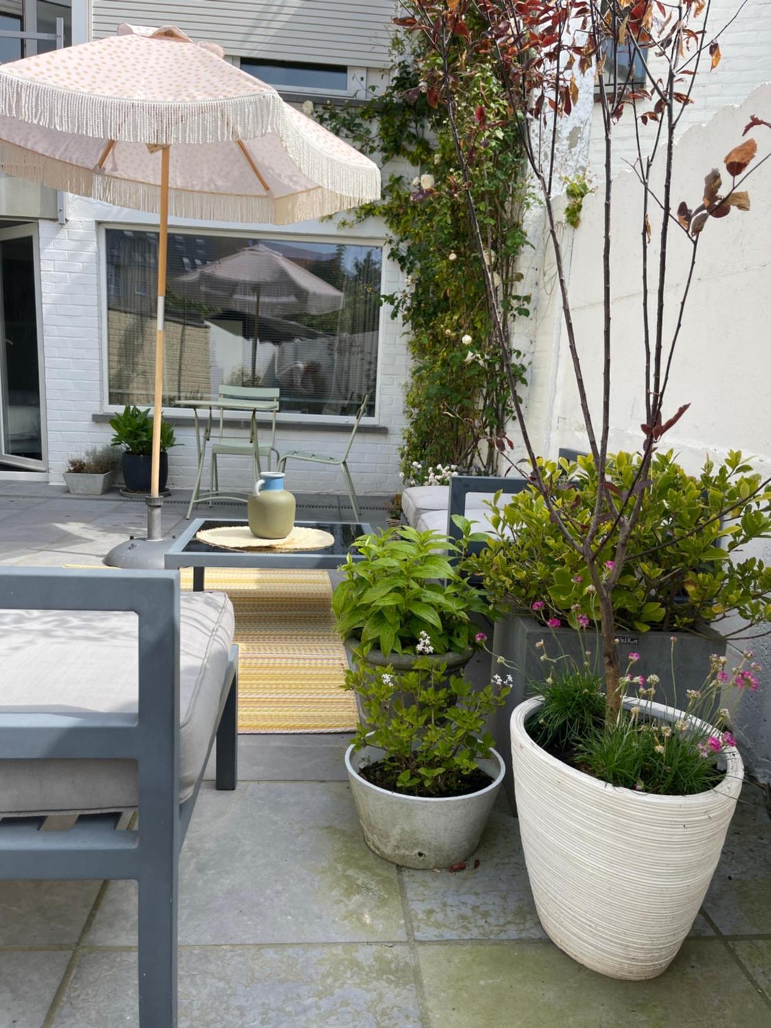 Guesthouse Poppies , Free Parking 奥斯滕德 外观 照片